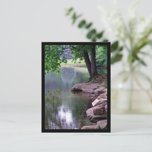 Carte postale du parc à puce bleu #1 (Debout devant)