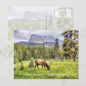Carte postale du parc national Banff du Mont-Châte (Devant / Derrière)
