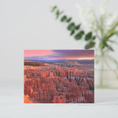 Carte postale du parc national Bryce Canyon (Debout devant)