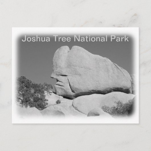 Carte postale du parc national de Joshua Tree ! (Devant)