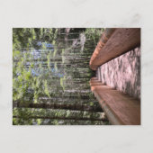 Carte postale du parc national de Redwood (Devant)