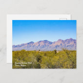 Carte postale du parc national de Saguaro (Devant / Derrière)