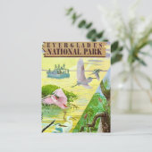 Carte postale du Parc national des Everglades (Debout devant)