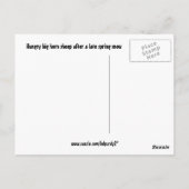 Carte postale du parc national des Rocheuses (Dos)