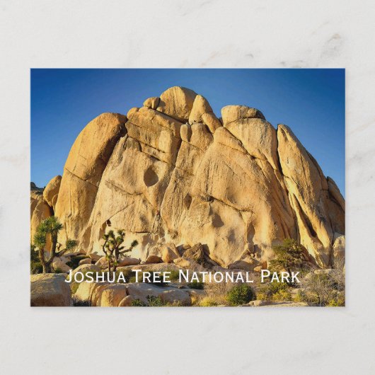 Carte postale du parc national Joshua Tree (Devant)
