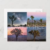 Carte postale du parc national Joshua Tree (Devant / Derrière)