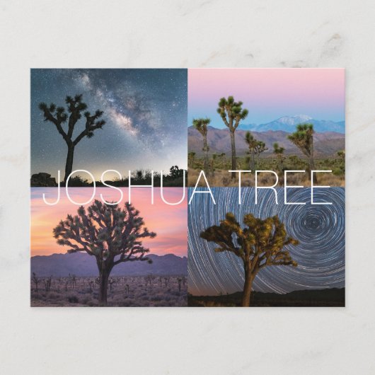 Carte postale du parc national Joshua Tree (Devant)