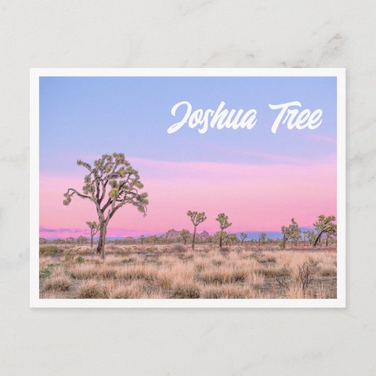 Carte postale du Parc national Joshua Tree Sunset (Devant)