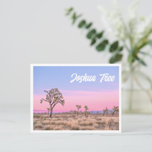Carte postale du Parc national Joshua Tree Sunset (Debout devant)