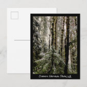 Carte postale du parc national olympique (Devant / Derrière)