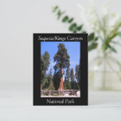 Carte postale du parc national Sequoia Kings Canyo (Debout devant)