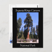 Carte postale du parc national Sequoia Kings Canyo (Devant / Derrière)