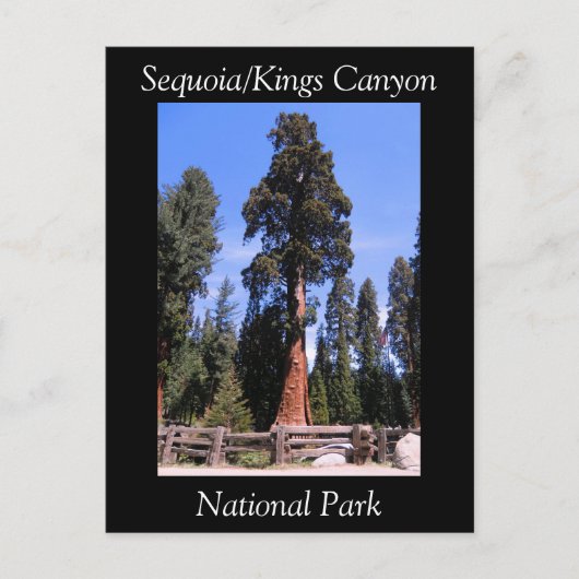 Carte postale du parc national Sequoia Kings Canyo (Devant)
