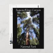 Carte postale du parc national Sequoia Kings Canyo (Devant / Derrière)