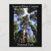 Carte postale du parc national Sequoia Kings Canyo (Devant)