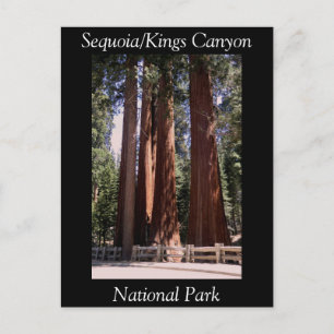 Carte postale du parc national Sequoia Kings Canyo