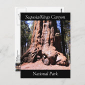 Carte postale du parc national Sequoia Kings Canyo (Devant / Derrière)