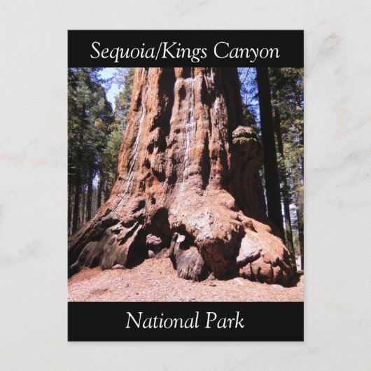 Carte postale du parc national Sequoia Kings Canyo (Devant)