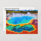Carte postale du parc national Yellowstone (Devant / Derrière)