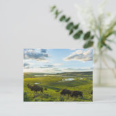 Carte postale du parc national Yellowstone (Debout devant)