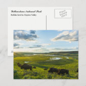 Carte postale du parc national Yellowstone (Devant / Derrière)