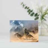 Carte postale du parc national Yellowstone (Debout devant)