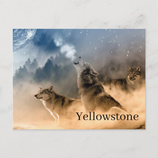 Carte postale du parc national Yellowstone (Devant)