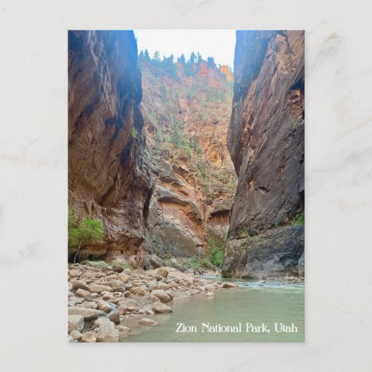 Carte postale du parc national Zion (Devant)