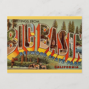Carte postale du parc Redwood Big Basin