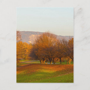 Carte postale du parc Rheinaue