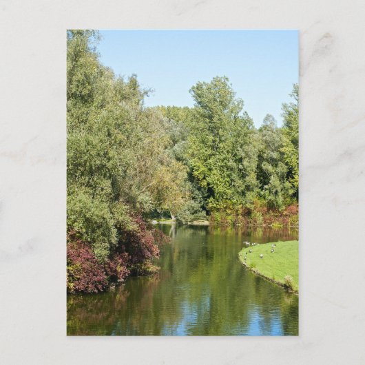 Carte postale du parc Rheinaue (Devant)