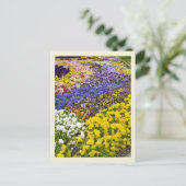 Carte postale du parterre de pensées (Debout devant)