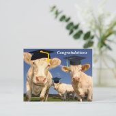 Carte postale du Parti Félicitations Vaches (Debout devant)