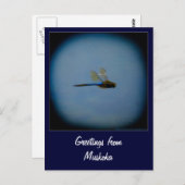 Carte postale du pays de vacances (Devant / Derrière)