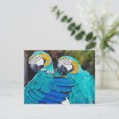 Carte postale du perroquet jumeau (Debout devant)