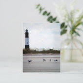 Carte postale du phare de Géorgie (Debout devant)