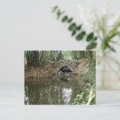 Carte postale du pont (Debout devant)