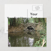 Carte postale du pont (Devant / Derrière)