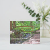 Carte postale du pont en bois (Debout devant)