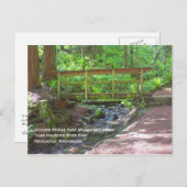 Carte postale du pont en bois (Devant / Derrière)