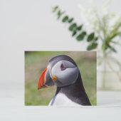 Carte postale du portrait de macareux (Debout devant)