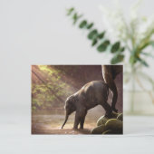 Carte postale du premier bain de Baby Elephant (Debout devant)