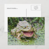 Carte postale du Prince Grenouille (Devant / Derrière)