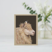 Carte postale du rassembleur de laine (Debout devant)