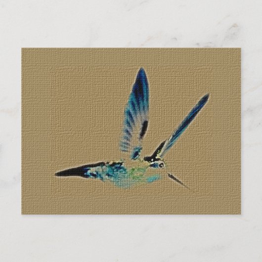 Carte postale du roi des colibris (Devant)