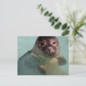 Carte postale du sceau du port (Debout devant)