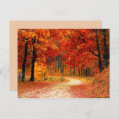 carte postale du sentier des chutes de bois (Devant / Derrière)