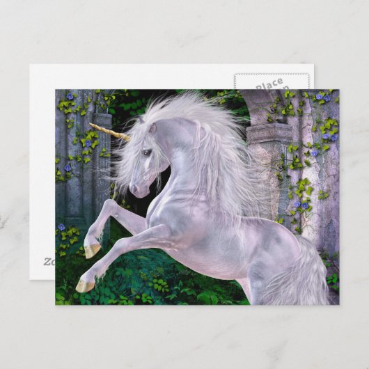 Carte postale du soir enchantée (Devant / Derrière)