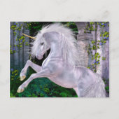 Carte postale du soir enchantée (Devant)