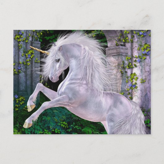 Carte postale du soir enchantée (Devant)